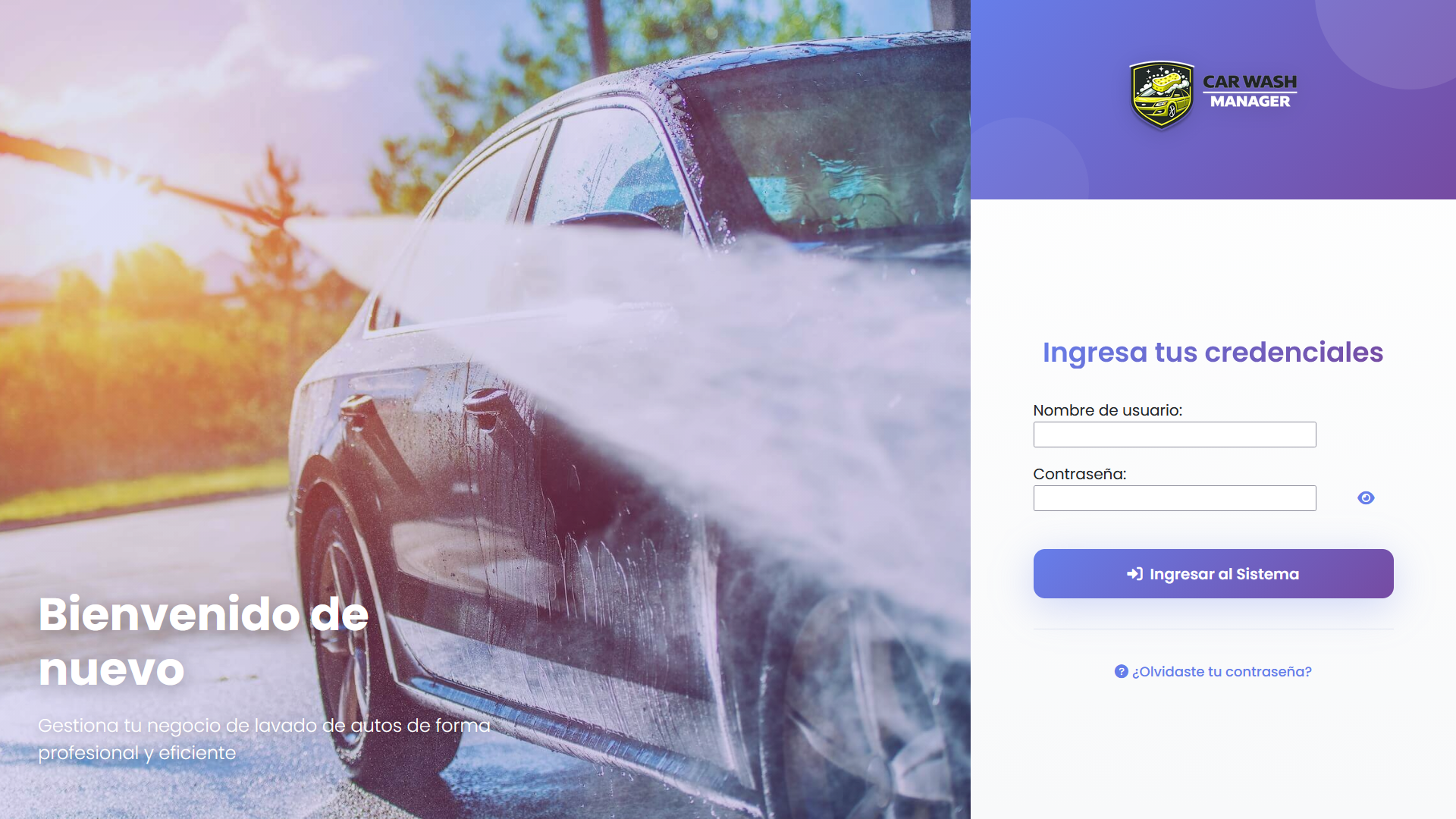 Carwash Manager